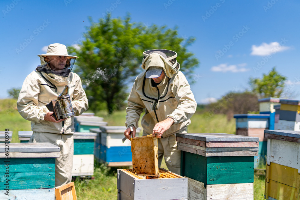 hive inspections