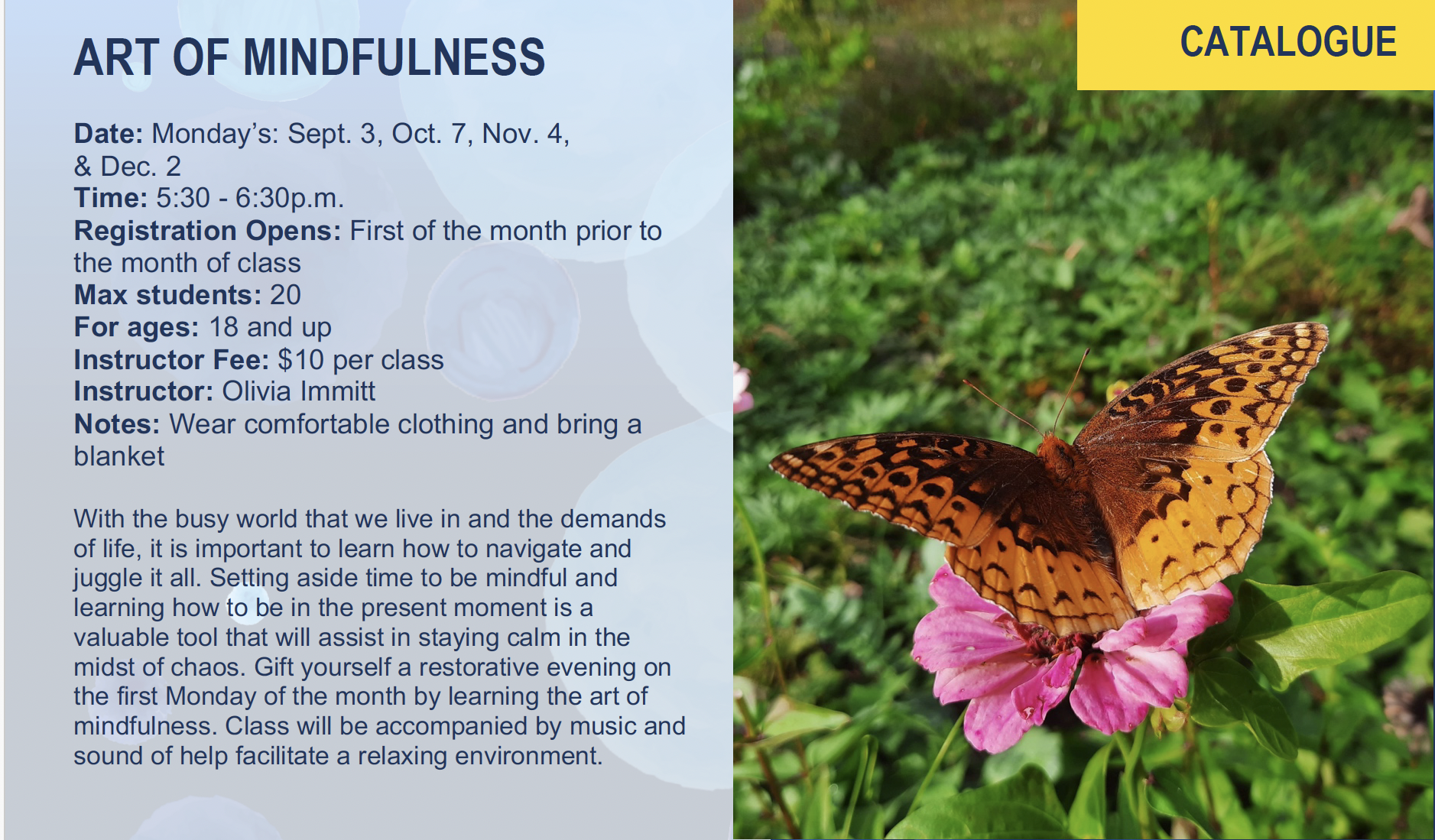 Art of Mindfulness Flier