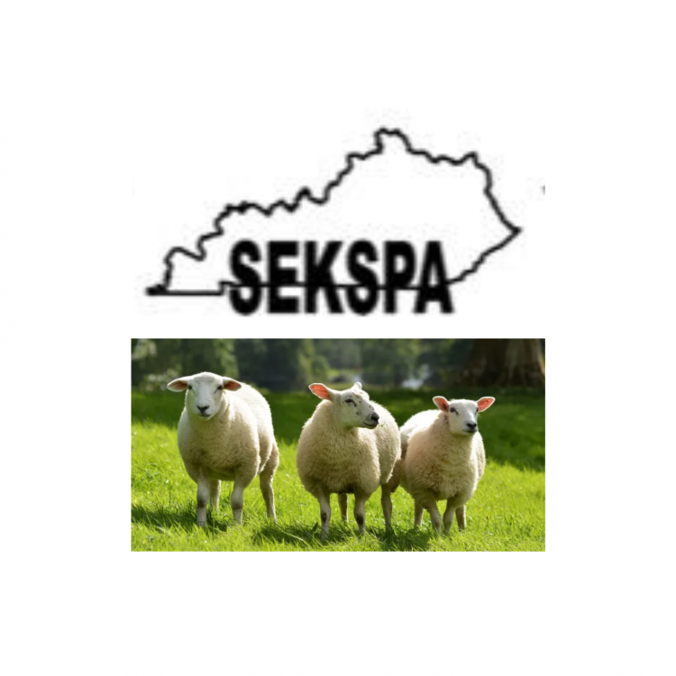  SEKSPA