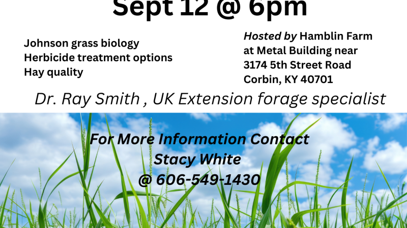 Johnson Grass Control Program September 12th at 6pm